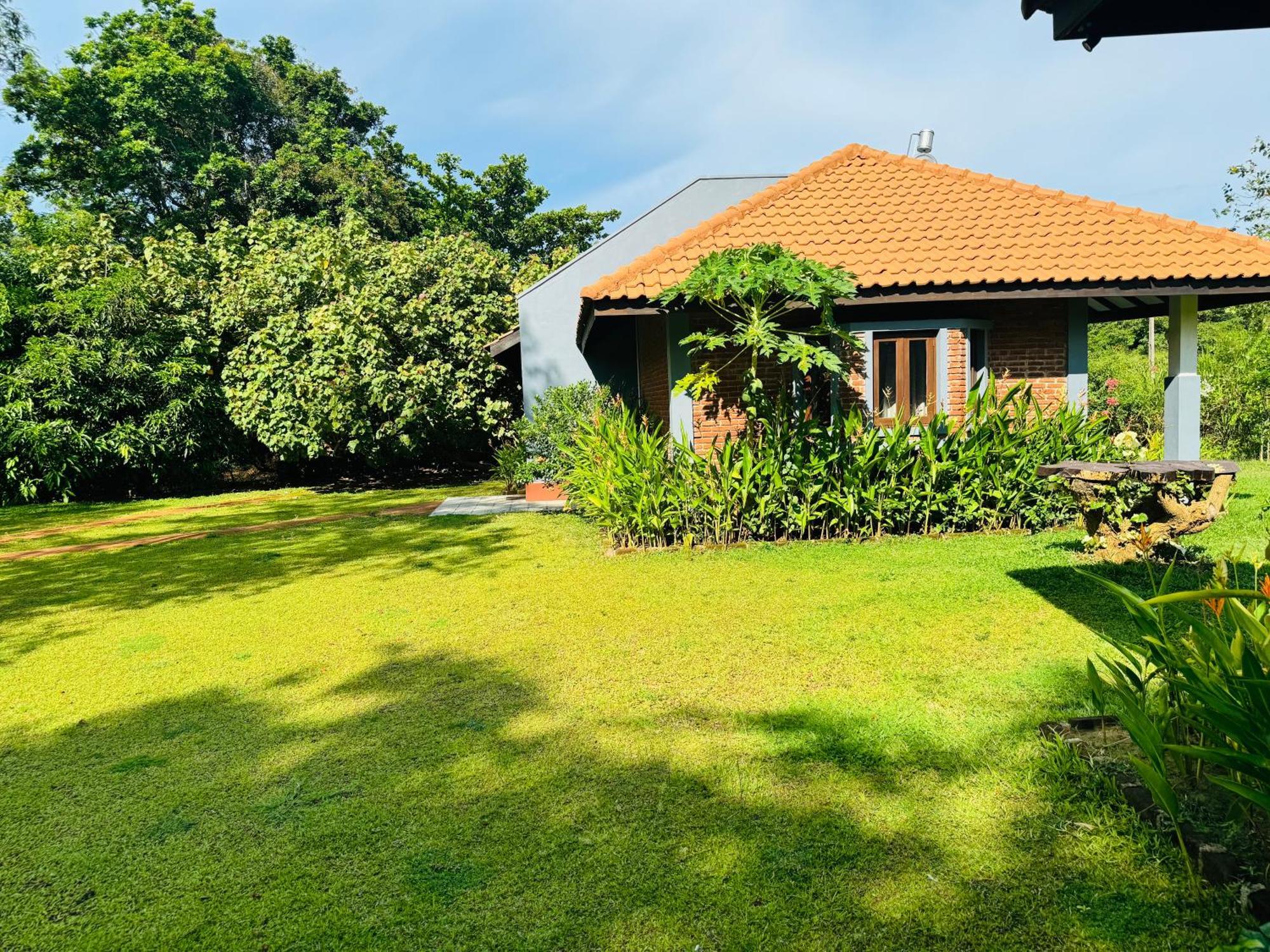 Foresta Resort Sigiriya Exterior foto
