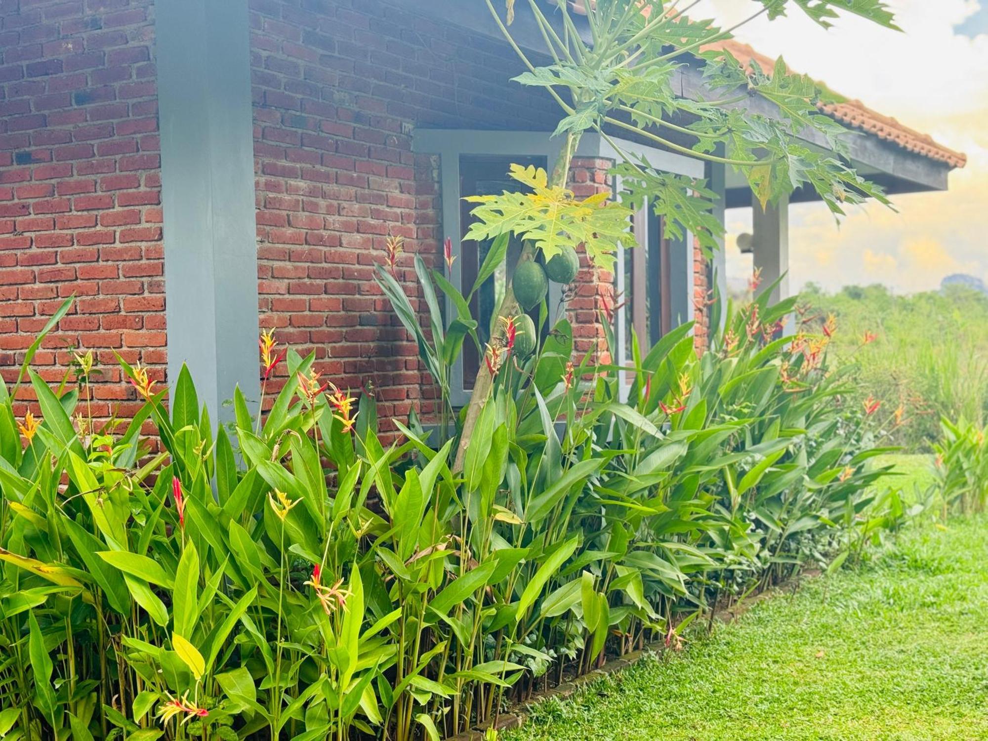 Foresta Resort Sigiriya Exterior foto